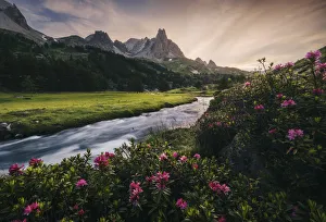 Alpine meadows during a summer sunset, Val Claree, Southern France Alpine meadows during a summer sunset, Val Claree, Southern France