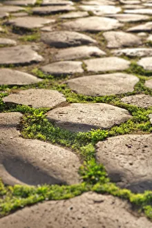 Detail of ancient roman pavement , Rome, Lazio, Europe Detail of ancient roman pavement , Rome, Lazio, Europe