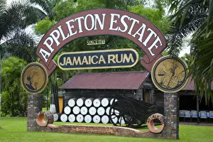 Images Dated 25th September 2012: Appleton Estate Rum, St. Elizabeth Parish, Jamaica, Caribbean