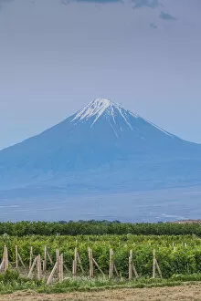 Khor Virap Gallery: Armenia, Khor Virap, view of Little Mt. Ararat