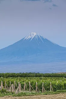 Khor Virap Gallery: Armenia, Khor Virap, view of Little Mt. Ararat
