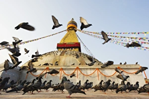 Kathmandu Valley Gallery: Asia, Nepal, Kathmandu, Kathmandu Valley, Boudhanath, Boudha Stupa, (Chorten Chempo)