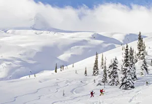 Asulkan valley in winter, Roger pass, British Columbia, Canada Asulkan valley in winter, Roger pass, British Columbia, Canada