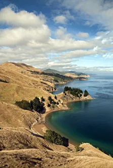Australasia, New Zealand, South Island, French Pass Australasia, New Zealand, South Island, French Pass