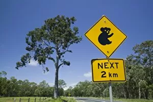 Images Dated 28th October 2007: Australia, Queensland, Fraser Coast, Maryborough, Koala Crossing Sign on the Bruce Highway