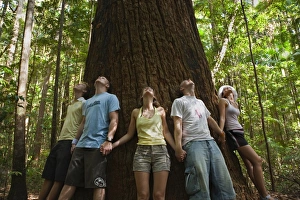 Australia, Queensland, Fraser Island Australia, Queensland, Fraser Island