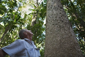 Australia, Queensland, Fraser Island