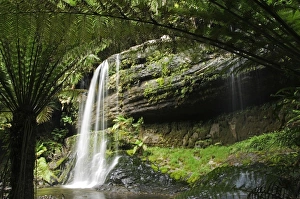 Australia, Tasmania, Mount Fields National Park Australia, Tasmania, Mount Fields National Park