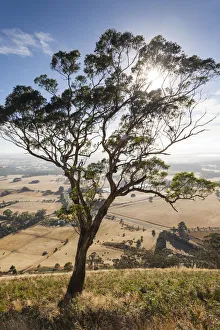 Australia, Victoria, VIC, Buninyong, elevated view of landscape from Mount Buninyong Australia, Victoria, VIC, Buninyong, elevated view of landscape from Mount Buninyong