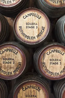 Australia, Victoria, VIC, Rutherglen, Campbells Winery, wine barrels Australia, Victoria, VIC, Rutherglen, Campbells Winery, wine barrels