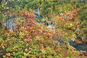Autum colours - Croatia, Lika-Senj, Plitvice Lakes - Plitvice Lakes National Park Autum colours - Croatia, Lika-Senj, Plitvice Lakes - Plitvice Lakes National Park