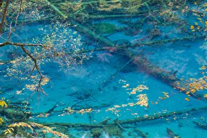 Autumn colour & lake, Jiuzhaigou National Park, Sichuan Province, China Autumn colour & lake, Jiuzhaigou National Park, Sichuan Province, China