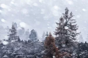 Autumn snowstorm near the Falzarego Pass in the Dolomites, Italy