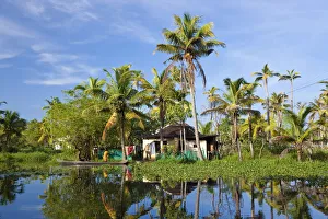 Backwaters, Alappuzha or Alleppey, Kerala, India Backwaters, Alappuzha or Alleppey, Kerala, India