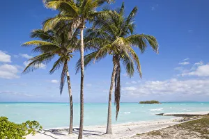 Bahamas, Abaco Islands, Great Abaco, Beach at Treasure Cay