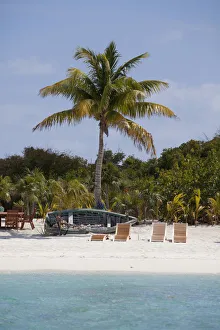 Bahamas. Beach chairs on the sand on an island Bahamas. Beach chairs on the sand on an island
