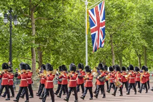 Changing Of The Guard Gallery: Bandsman during Trooping the Colour, London, England, Uk