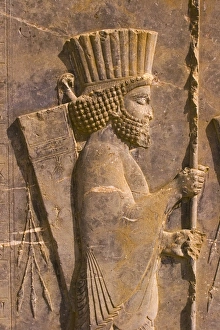 Bas reliefs, Persepolis, Fars Province, Iran Bas reliefs, Persepolis, Fars Province, Iran