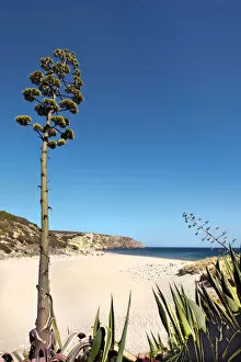 Atlantic Coast Collection: Beach, Praia do Zavial, Vila do Bispo, Algarve, Portugal