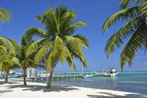 Images Dated 22nd May 2013: A beach at San Pedro, Ambergris Caye, Caribbean, Central America