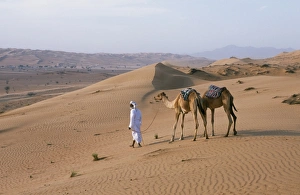 A Bedu leads his camels through the sand dunes in the desert A Bedu leads his camels through the sand dunes in the desert
