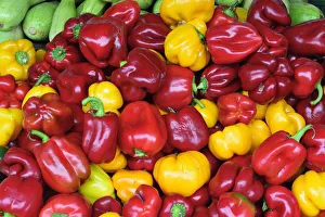 Bell peppers. Central market (Centraltirgus). Riga, Latvia Bell peppers. Central market (Centraltirgus). Riga, Latvia