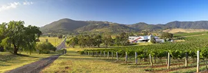 Ben Ean Wine Estate, Hunter Valley, New South Wales, Australia Ben Ean Wine Estate, Hunter Valley, New South Wales, Australia