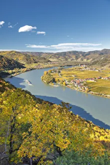 Bergern im Dunkelsteinerwald, district of Krems, Wachau, Lower Austria, Austria, Europe Bergern im Dunkelsteinerwald, district of Krems, Wachau, Lower Austria, Austria, Europe