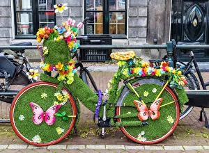 Bike with online flower basket