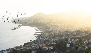 Birds flying over Sao Goncalo church and Funchal city at sunset, Madeira island, Portugal Birds flying over Sao Goncalo church and Funchal city at sunset, Madeira island, Portugal