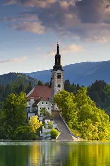 Bled Island with the Church of the Assumption illuminated at sunrise, Lake Bled, Bled Bled Island with the Church of the Assumption illuminated at sunrise, Lake Bled, Bled