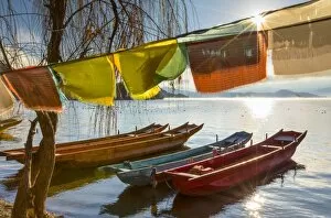 Images Dated 29th December 2016: Boats on Lugu Lake, Lige village, Yunnan, China