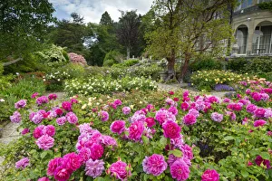 Bodnant Gardens, near Tal-y-Cafn, Conwy, Wales Bodnant Gardens, near Tal-y-Cafn, Conwy, Wales