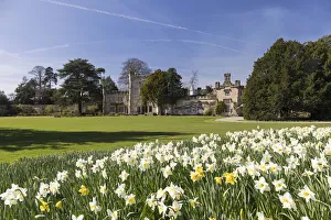Bolton Hall with daffodils, Bolton Abbey, Yorkshire Dales National Park, North Yorkshire Bolton Hall with daffodils, Bolton Abbey, Yorkshire Dales National Park, North Yorkshire