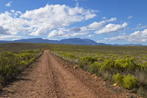 Bontebok National Park, Western Cape, South Africa Bontebok National Park, Western Cape, South Africa