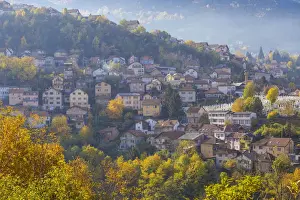 Prints of Bosnia and Herzegovina, Sarajevo, View of Alifakovac graveyard (where Muslim foreigners are buried) and City Bosnia And Herzegovina Prints: Bosnia and Herzegovina, Sarajevo, Alifakovac Graveyard Print