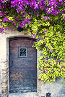 Bougainvillea over Old Door, St. Paul de Vence, Cote d Azur, France Bougainvillea over Old Door, St. Paul de Vence, Cote d Azur, France