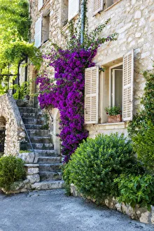 Bougainvillea over Staircase, St. Paul de Vence, Cote d Azur, France Bougainvillea over Staircase, St. Paul de Vence, Cote d Azur, France