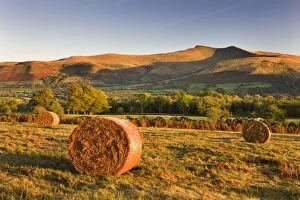 Images Dated 12th October 2009: Bracken bales on Mynydd Illtud Common, looking towards Corn Du and Pen y Fan in the