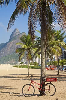 Brazil, Rio De Janeiro, Leblon beach, Bike leaning on palm tree Brazil, Rio De Janeiro, Leblon beach, Bike leaning on palm tree