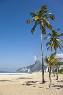 Brazil, Rio De Janeiro, Palm trees on Leblon beach Brazil, Rio De Janeiro, Palm trees on Leblon beach