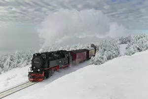 Winter Landscape Gallery: Brockenbahn on the way to the winter snow-covered Brocken, Harz, Schierke, Saxony-Anhalt