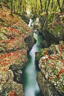 Brook gorge and beech leaves in autumn - Slovenia, Gorenjska, Bohinjsko Jezero Brook gorge and beech leaves in autumn - Slovenia, Gorenjska, Bohinjsko Jezero