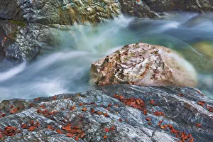 Brook gorge with rocks and autumn leaves - Austria, Carinthia, Hermagor Brook gorge with rocks and autumn leaves - Austria, Carinthia, Hermagor