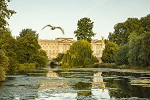 Buckingham Palace, St. James's Park, London, England, UK