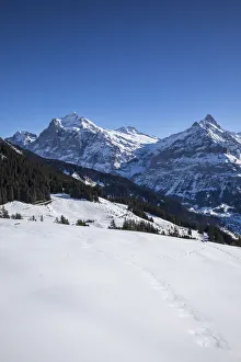 Bussalp, Grindelwald, Jungfrau Region, Berner Oberland, Switzerland Bussalp, Grindelwald, Jungfrau Region, Berner Oberland, Switzerland