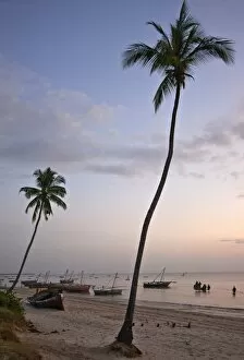 The bus y harbour at Bagamoyo at dawn where fis hermen land their catches