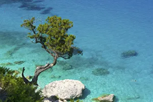 : Mediterranean Collection