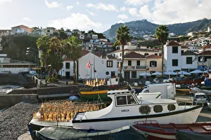 Camara de Lobos and the fishing port. Madeira Camara de Lobos and the fishing port. Madeira
