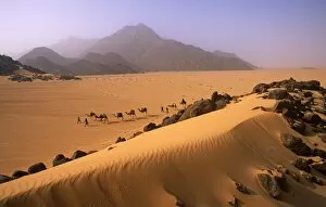 Air and TÚnÚrÚ Natural Reserves Collection: Camel Caravan in Niger, Tenere Desert